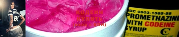 хмурый Богородицк