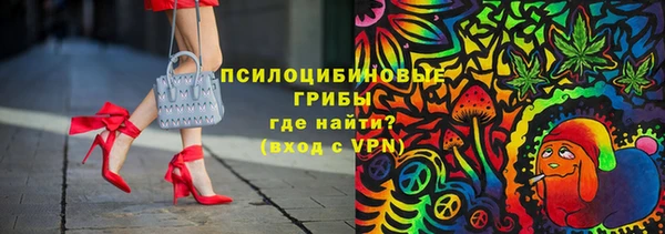Альфа ПВП Богородск