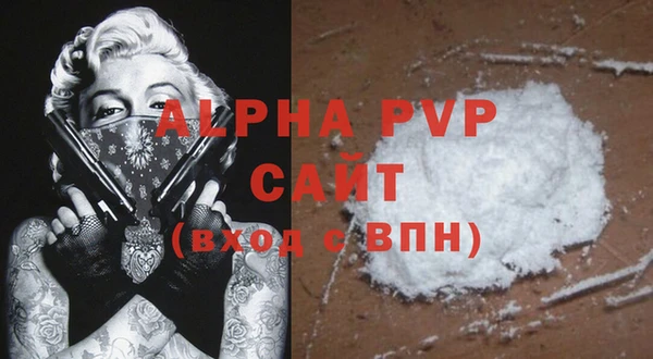 хмурый Богородицк